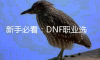 新手必看：DNF职业选择技巧