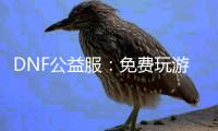 DNF公益服：免费玩游戏，快乐无极限！
