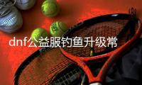 dnf公益服钓鱼升级常见问题解答