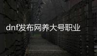 dnf发布网养大号职业选择指南