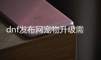 dnf发布网宠物升级需要注意什么？