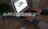 dnf怀旧服固伤职业一览